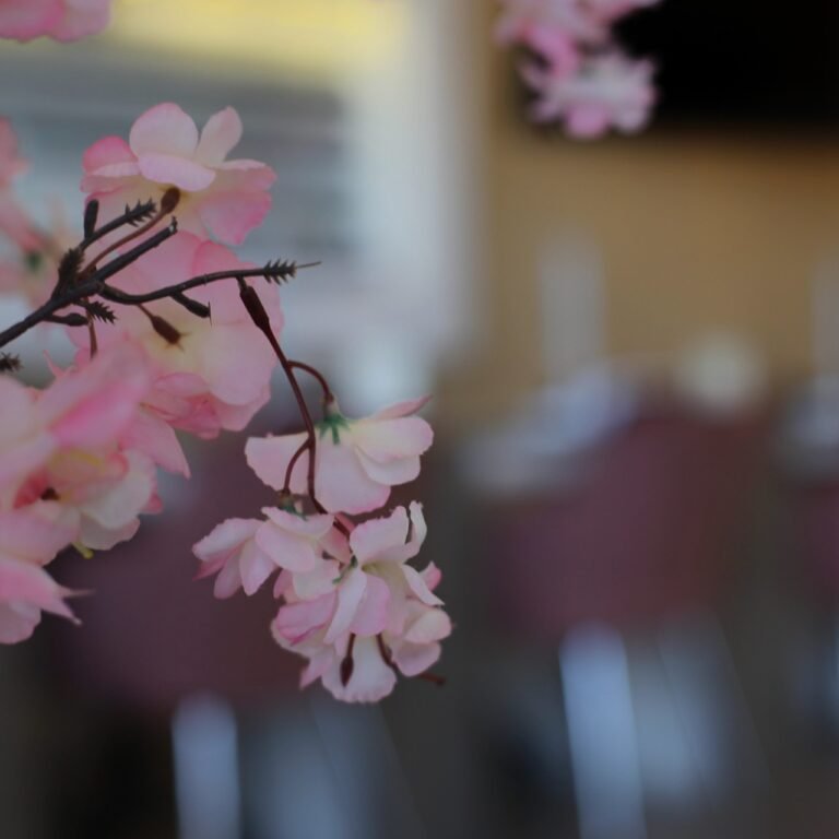 20211009175432_IMG_0582